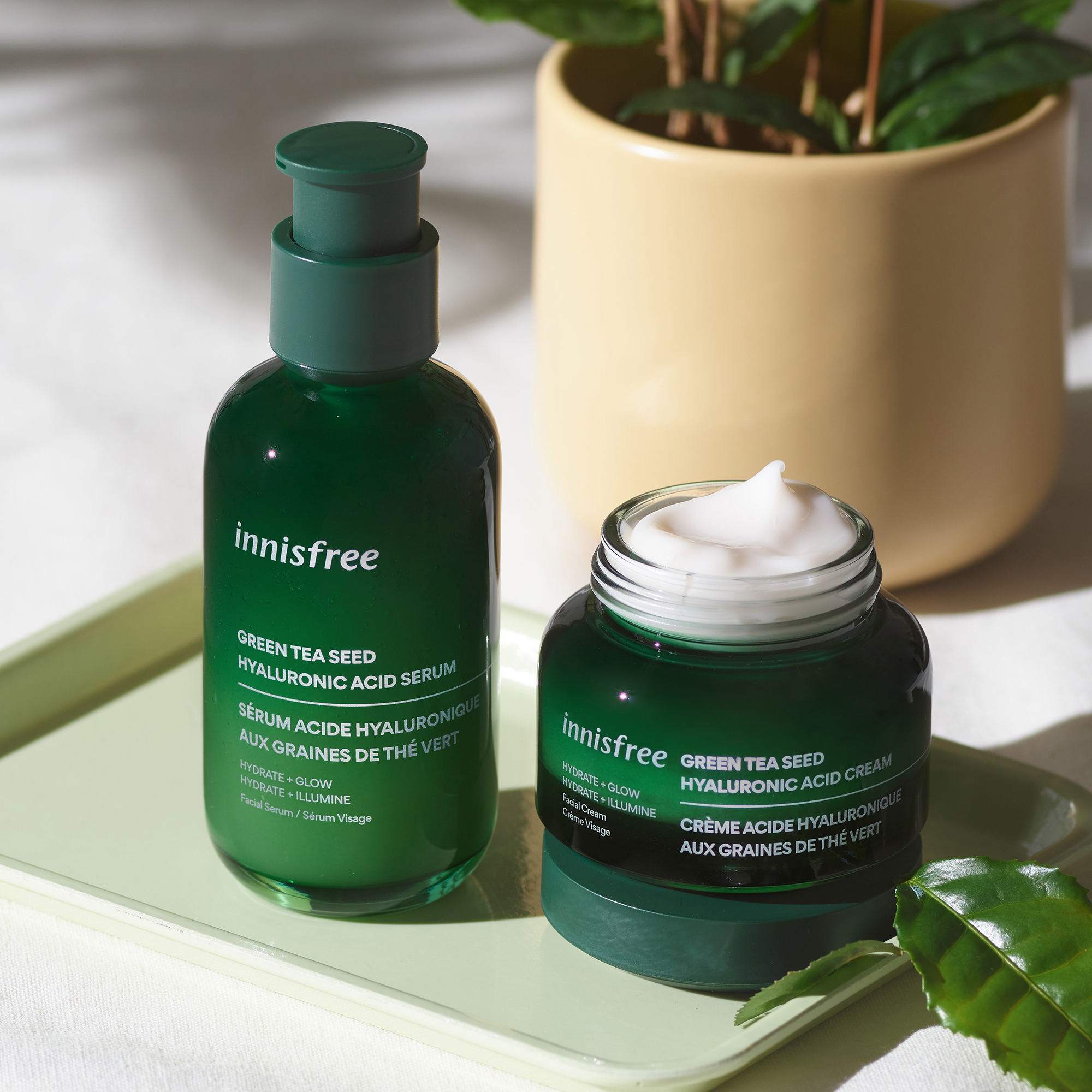 innisfree green tea serum